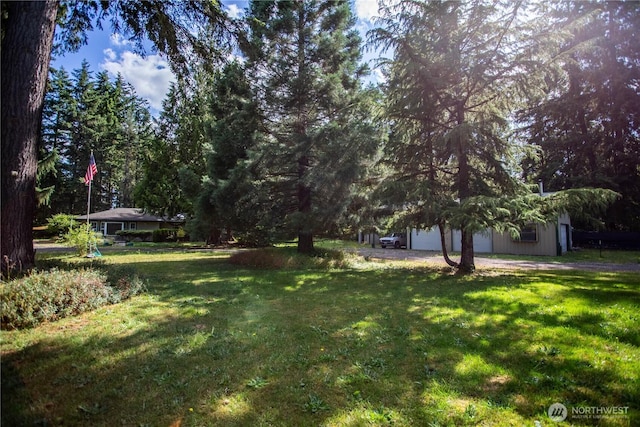 16549 Hickory Ln SE, Yelm, WA 98597 - photo 4
