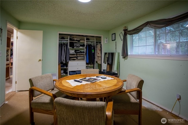 16549 Hickory Ln SE, Yelm, WA 98597 - photo 24