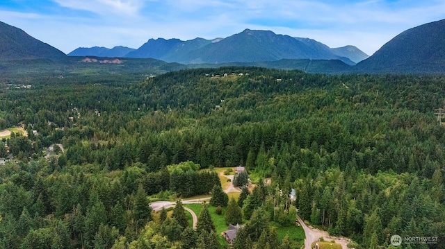 43410 SE 152nd Pl, North Bend, WA 98045 - photo 29