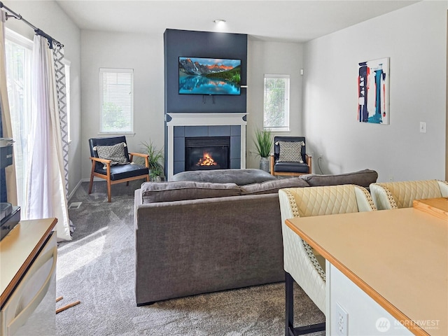 503 S 47th St Unit 11F, Renton, WA 98055 - carpeted living area with a fireplace and baseboards