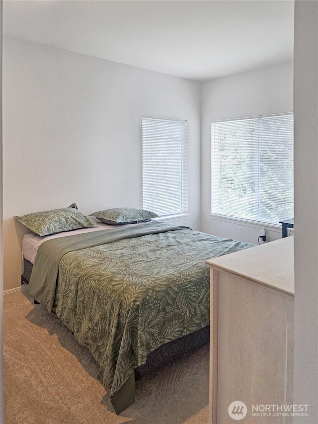 503 S 47th St Unit 11F, Renton, WA 98055 - bedroom featuring carpet floors