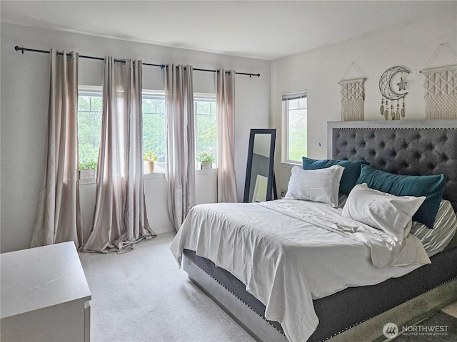 503 S 47th St Unit 11F, Renton, WA 98055 - bedroom featuring light colored carpet
