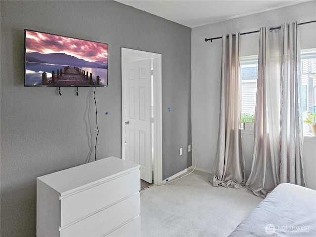 503 S 47th St Unit 11F, Renton, WA 98055 - bedroom featuring carpet