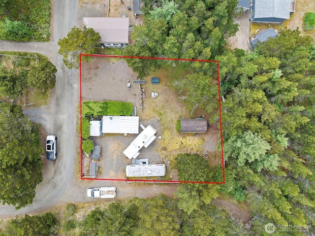 1006 268th Ln, Ocean Park, WA 98640 - photo 3