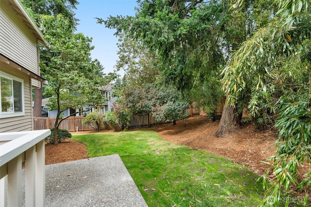 301 236th Pl SW, Bothell, WA 98021 - view of yard
