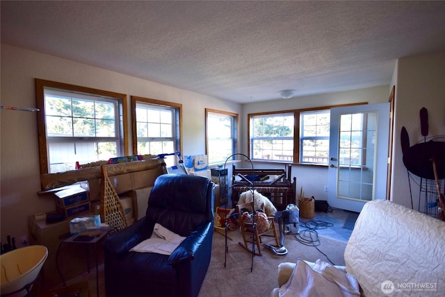 990 Madrona Way, Sequim, WA 98382 - carpeted living area featuring plenty of natural light and a textured ceiling