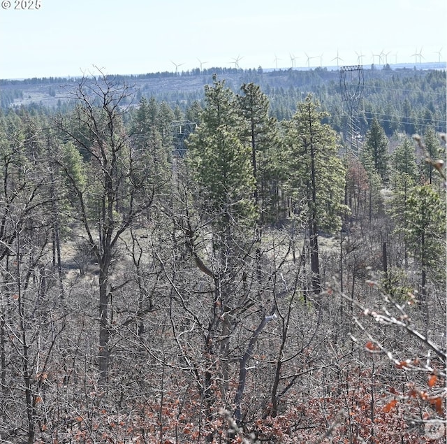 112 Timber Ln, Roosevelt, WA 99356 - photo 4