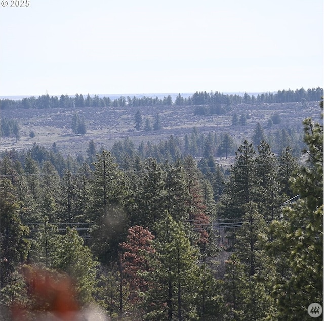 112 Timber Ln, Roosevelt, WA 99356 - photo 14