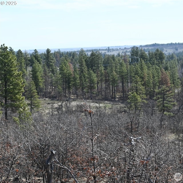 112 Timber Ln, Roosevelt, WA 99356 - photo 16