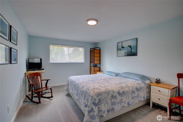 12492 Gwen Dr Unit 9, Burlington, WA 98233 - photo 9