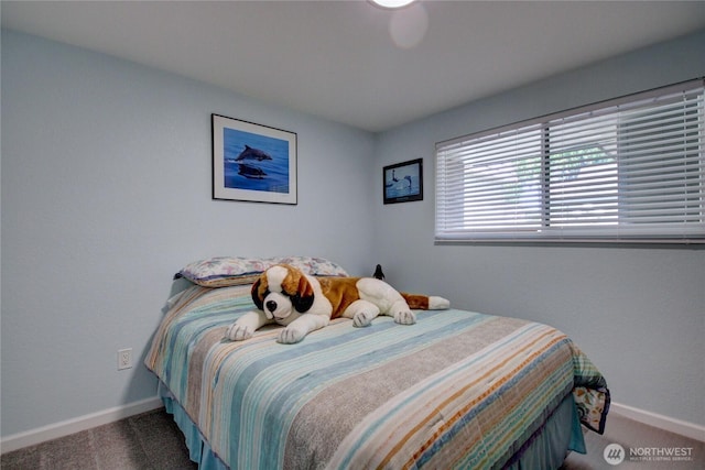 12492 Gwen Dr Unit 9, Burlington, WA 98233 - photo 13