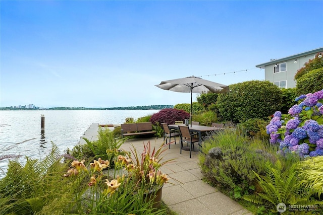 506 Lakeside Ave S Unit W1, Seattle, WA 98144 - photo 1