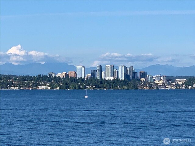 506 Lakeside Ave S Unit W1, Seattle, WA 98144 - photo 10