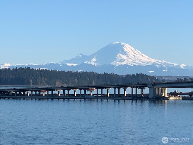 506 Lakeside Ave S Unit W1, Seattle, WA 98144 - photo 34