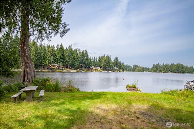 30 E Case Pl E, Shelton, WA 98584 - photo 18