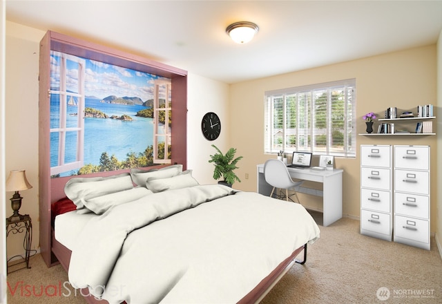 30 E Case Pl E, Shelton, WA 98584 - photo 6