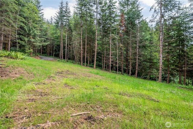 0 Bunker Hill Rd Unit C, Longview, WA 98632