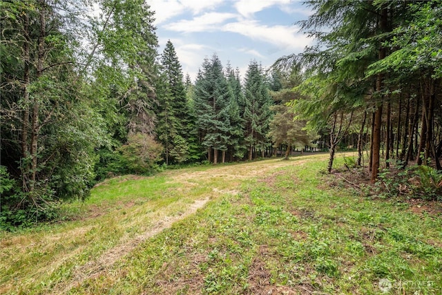 0 Bunker Hill Rd Unit C, Longview, WA 98632