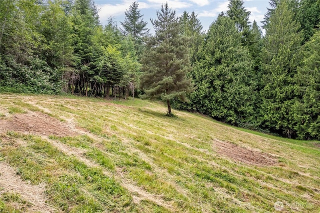 0 Bunker Hill Rd Unit C, Longview, WA 98632
