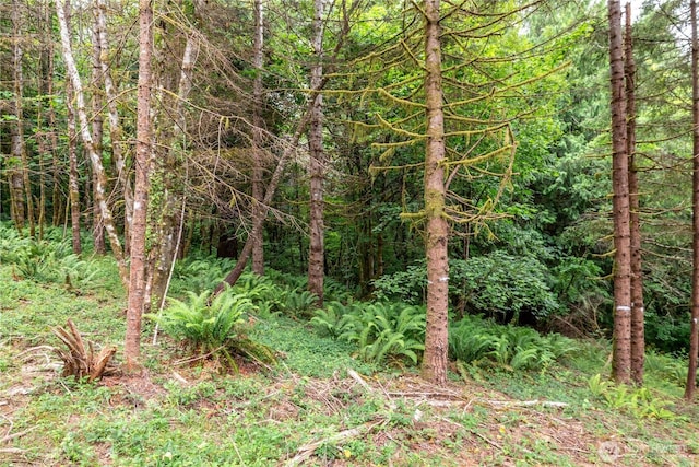 0 Bunker Hill Rd Unit C, Longview, WA 98632