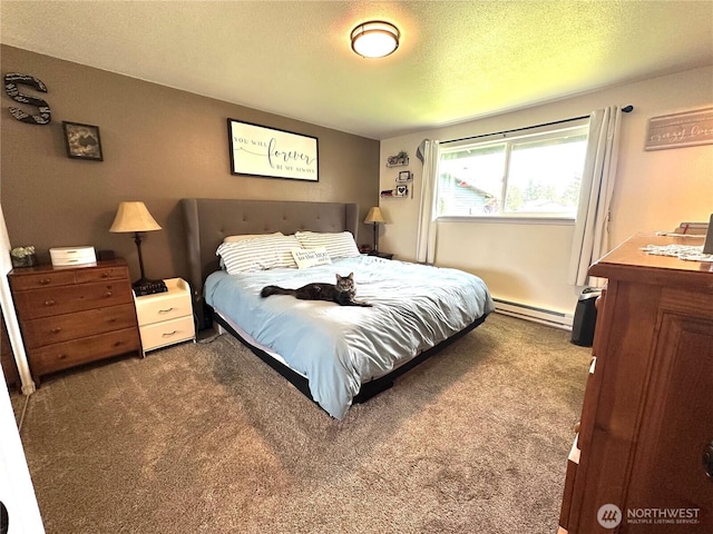 391 Fauna Ln Lane, Unit Lane, Forks, WA 98331 - photo 19