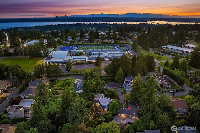 1702 99th Ave NE, Bellevue, WA 98004 - photo 13