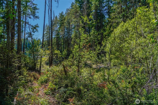 691 NE Lakeshore Dr S, Tahuya, WA 98588 - photo 4