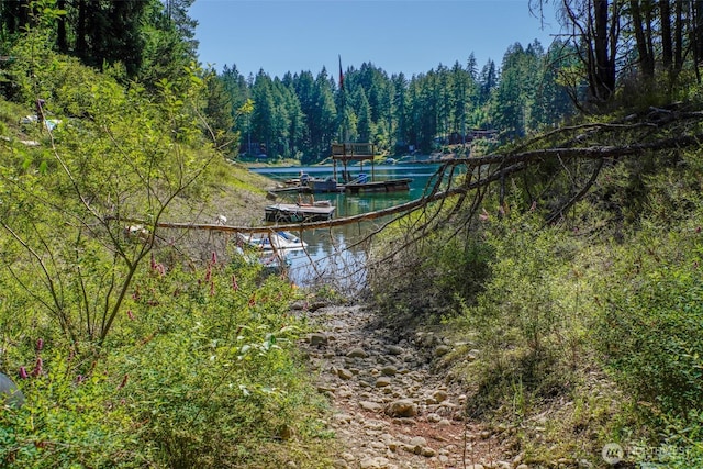 691 NE Lakeshore Dr S, Tahuya, WA 98588 - photo 5