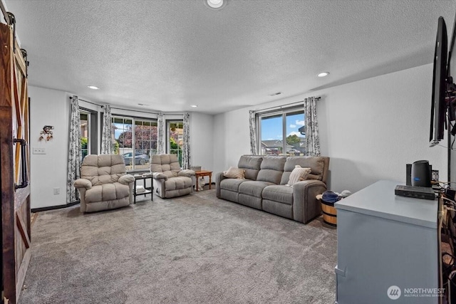 8308 Langara Dr, Pasco, WA 99301 - living room with a textured ceiling, carpet, and recessed lighting