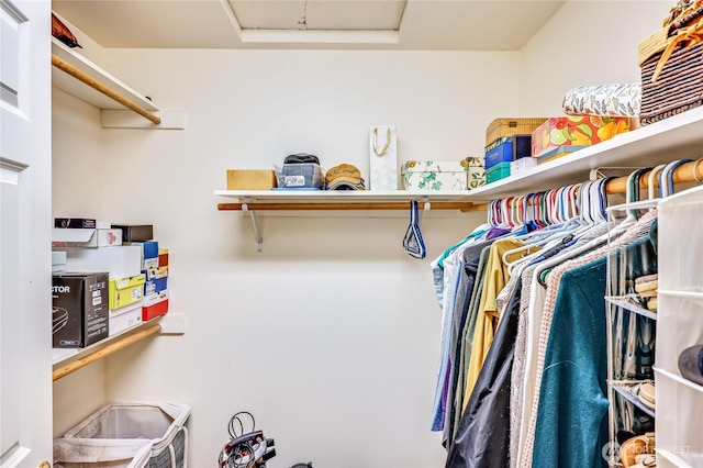 4243 Holcomb St, Port Townsend, WA 98368 - spacious closet with attic access