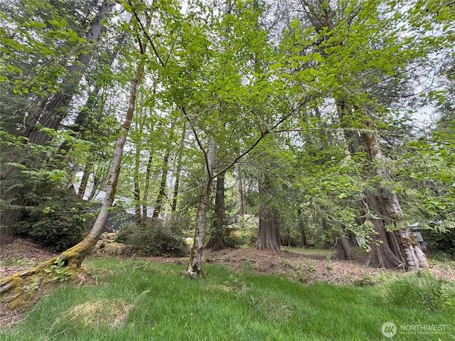 441 E Pointes Dr E, Shelton, WA 98584 - photo 2