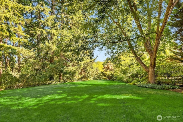 7703 Fletcher Bay Rd NE, Bainbridge Island, WA 98110 - photo 32