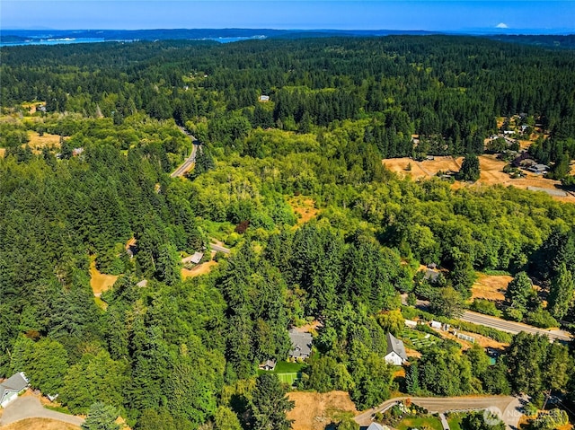 7703 Fletcher Bay Rd NE, Bainbridge Island, WA 98110 - photo 36