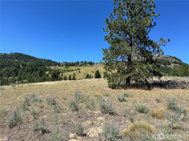 2B Lundimo Meadows Rd, Curlew, WA 99118