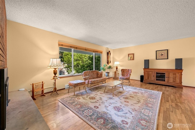 507 Lyla Ln, Bellingham, WA 98225 - living area with a textured ceiling and wood finished floors