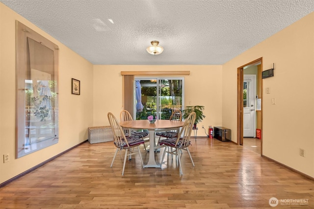 507 Lyla Ln, Bellingham, WA 98225 - dining room featuring light wood finished floors and a textured ceiling