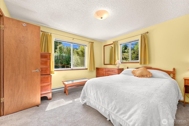 507 Lyla Ln, Bellingham, WA 98225 - bedroom featuring carpet floors, multiple windows, a textured ceiling, and a baseboard heating unit