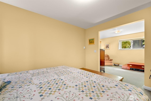 507 Lyla Ln, Bellingham, WA 98225 - view of carpeted bedroom
