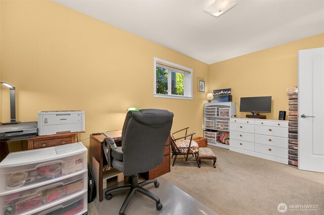507 Lyla Ln, Bellingham, WA 98225 - office space with carpet floors
