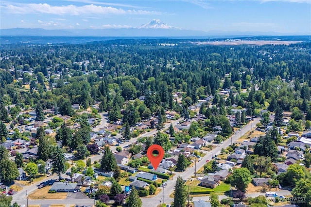 10812 2nd Ave S, Seattle, WA 98168 - bird's eye view of a mountain backdrop