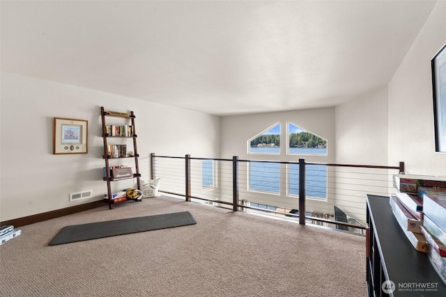 1321 E Mason Lake Dr E, Grapeview, WA 98546 - workout area with carpet and a water view