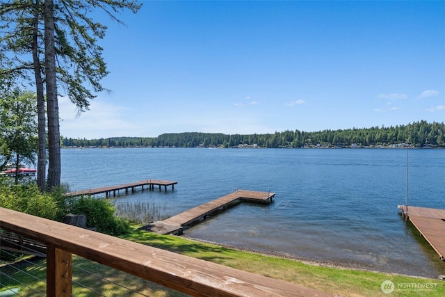 1321 E Mason Lake Dr E, Grapeview, WA 98546 - dock with a water view and a wooded view