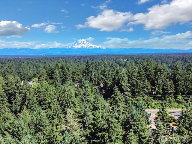 11032 Dean Ct SW, Lakewood, WA 98498 - photo 31