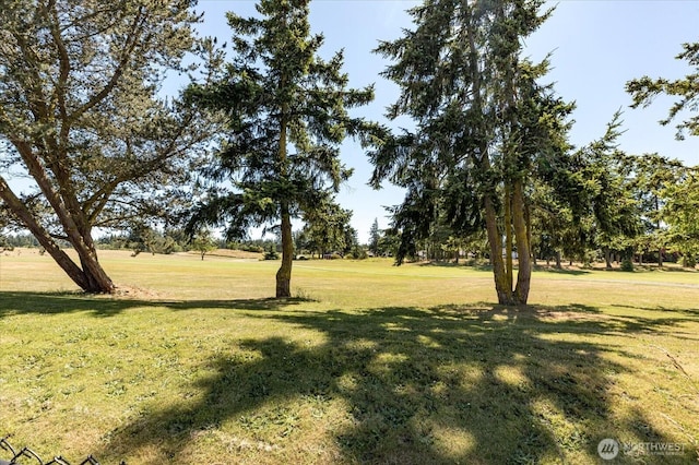 1341 SW Xavier Dr, Oak Harbor, WA 98277 - photo 37