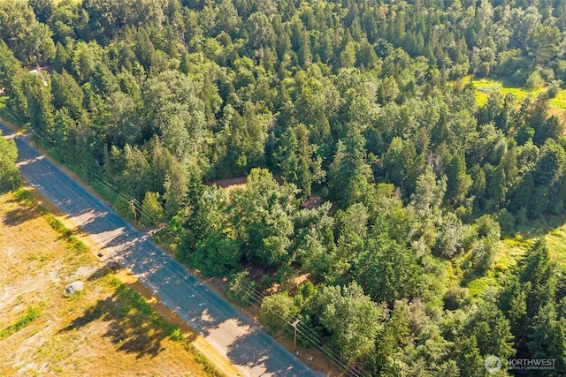 9330 Odell St, Blaine, WA 98230 - aerial view of property's location with a heavily wooded area