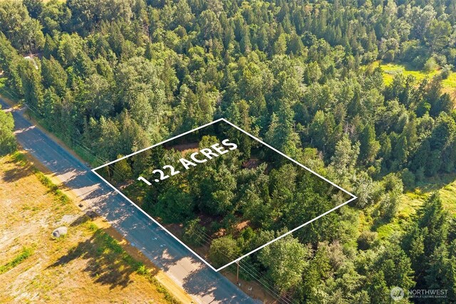 9330 Odell St, Blaine, WA 98230 - aerial view of property and surrounding area with property boundaries highlighted and a heavily wooded area