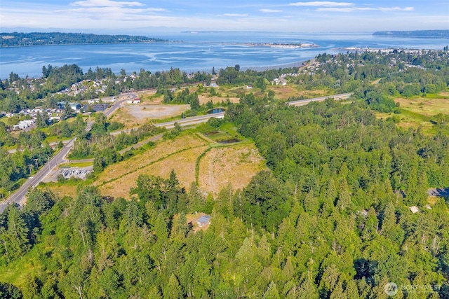 9330 Odell St, Blaine, WA 98230 - view of property location featuring a large body of water and a heavily wooded area