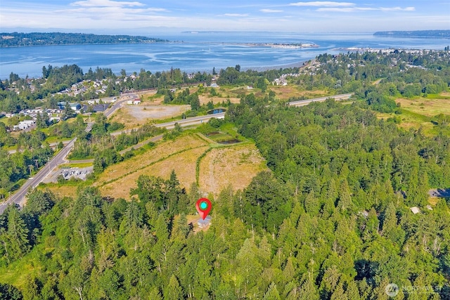 9330 Odell St, Blaine, WA 98230 - view of property location with a nearby body of water and a forest