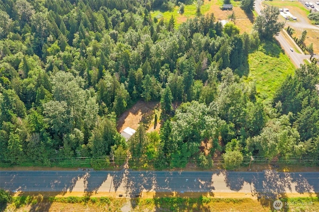 9330 Odell St, Blaine, WA 98230 - drone / aerial view of a forest
