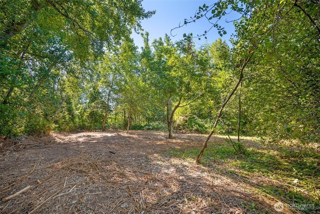 9330 Odell St, Blaine, WA 98230 - view of undeveloped land